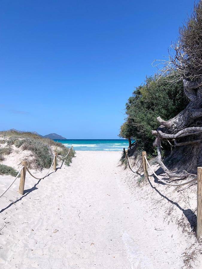 Finca mit hund für 6 Personen, mit Balkon und Terrasse sowie Garten und Ausblick in Playa de Muro
