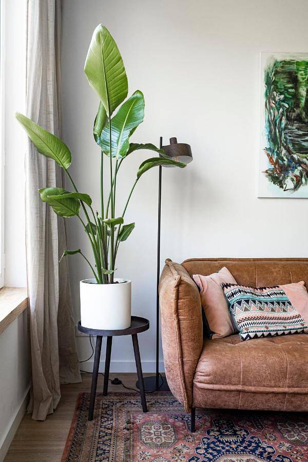 Cały apartament, Two-Bedroom Apartment in Rotterdam, Holandia Południowa