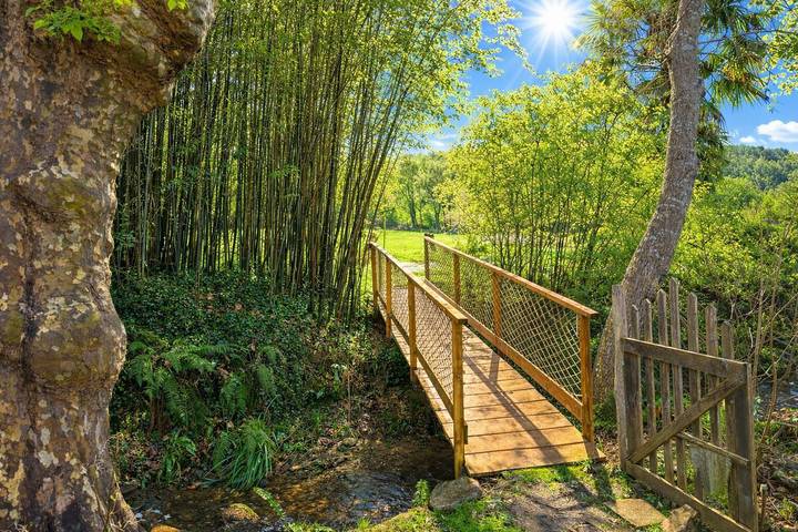 Chambre d’hôte pour 2 personnes, avec jardin dans Béarn - 4