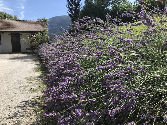 Location de vacances pour 22 personnes, avec vue ainsi que jardin et terrasse, animaux acceptés à Montcel - 3