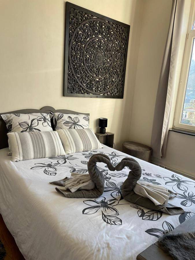 Chambre d’hôte pour 2 personnes, avec terrasse ainsi que piscine et jardin à Profondeville