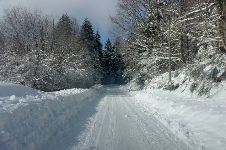 Chalet pour 4 personnes, avec jardin, animaux acceptés dans les Vosges - 4