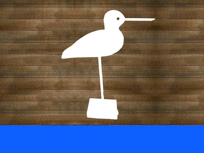 Ferienhaus für 4 Personen auf Langeoog