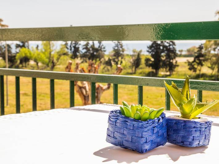 Ferielejlighed for 3 personer, med have i Giardini-Naxos