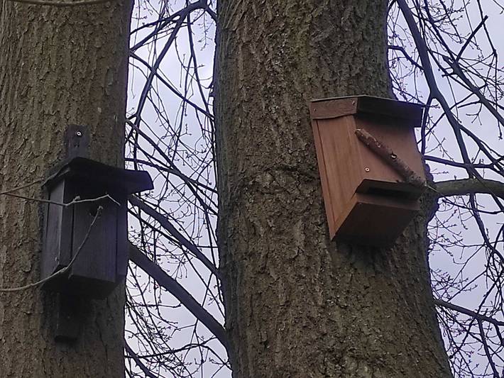 Ferienwohnung für 4 Personen, mit Terrasse und Garten, kinderfreundlich in Ückeritz
