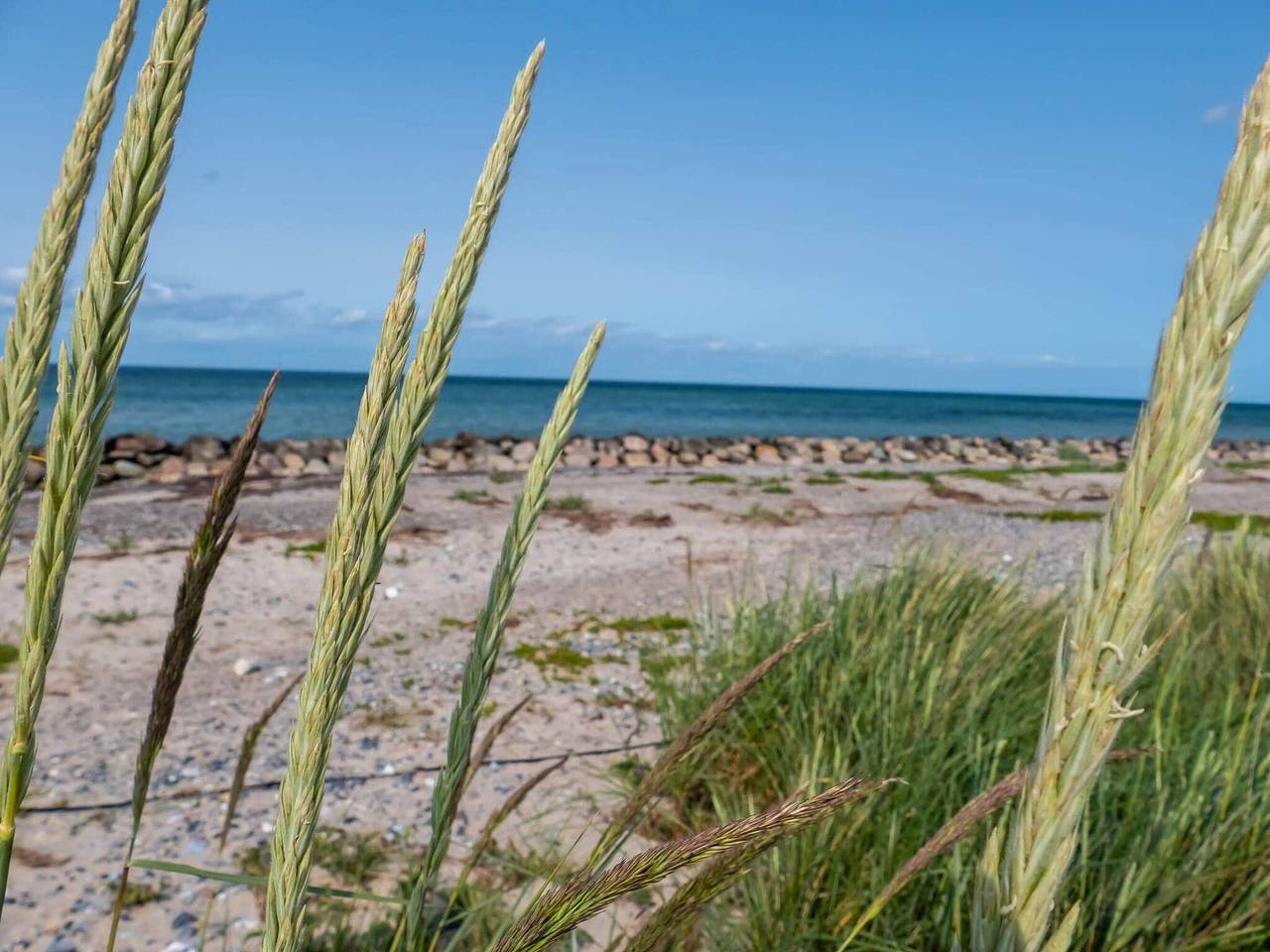 5 Personen Ferienhaus in Stege in Ulvshale, Vordingborg und Umgebung