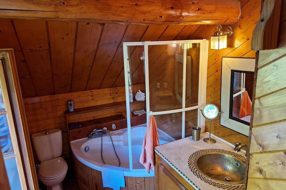 Traditional log cabin with Jacuzzi and wooded garden in the Cévennes in Camprieu, Saint-Sauveur-Camprieu
