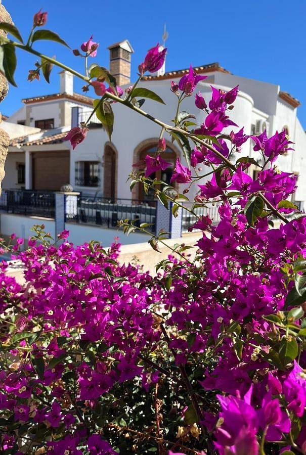 Casa rural para 6 personas, con jardín y piscina para niños además de vistas y piscina en Algorfa - 4