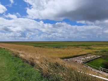 Ferieudlejning til 6 Personer i Højer, Vesterhavet, Billede 4