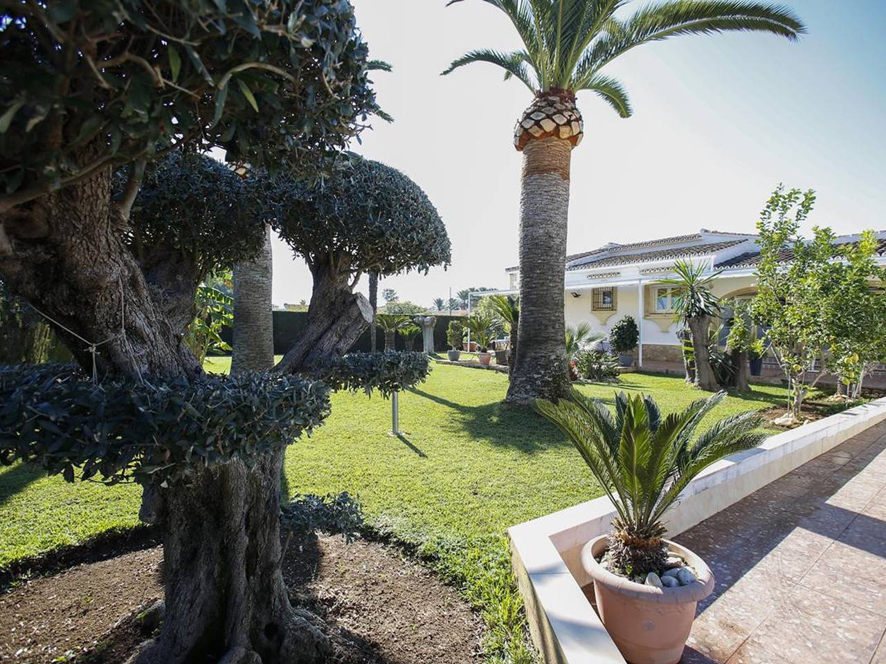 Villa mediterránea en Els Poblets para 7 personas con piscina privada y cerca de la playa in Almadraba, Costa Blanca