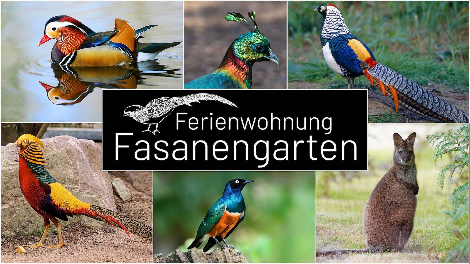 Ganze Ferienwohnung, Fasanengarten in Traunreut - Ferienwohnung 55qm mit Balkon und Gartenblick in Traunreut, Landkreis Traunstein