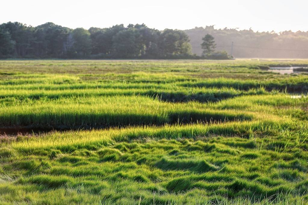 Dog-Friendly Home w/Fireplace, Prime In-Town Location - Walk Everywhere in Kennebunk, York County