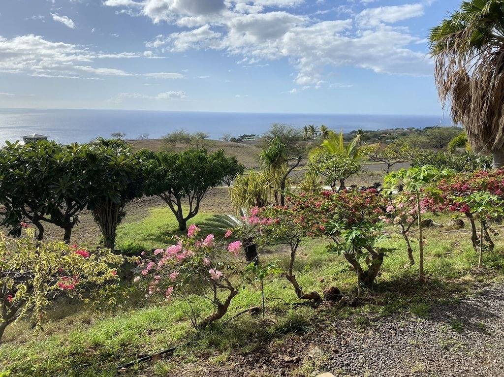 Ganze Wohnung, Studio Kohala Big Island Meerblick in Kohala