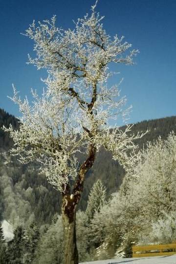 Bauernhof für 2 Personen in Tiefenbach (Oberstdorf), Oberstdorf, Bild 2