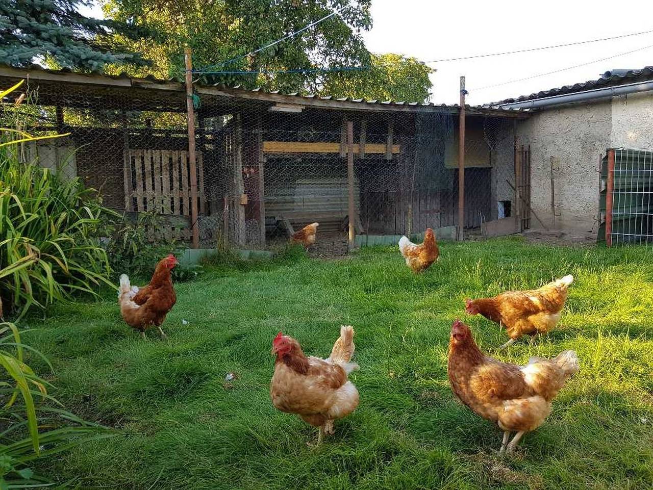 Ganze Ferienwohnung, Ferienhaus Familie Kroll in Groß Kordshagen, Stralsund Umland