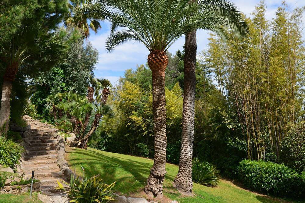 Entire apartment, Cannes Eden. Large sea view studio, beach access, quiet, swimming pool and tennis. in Vallauris, Cannes region