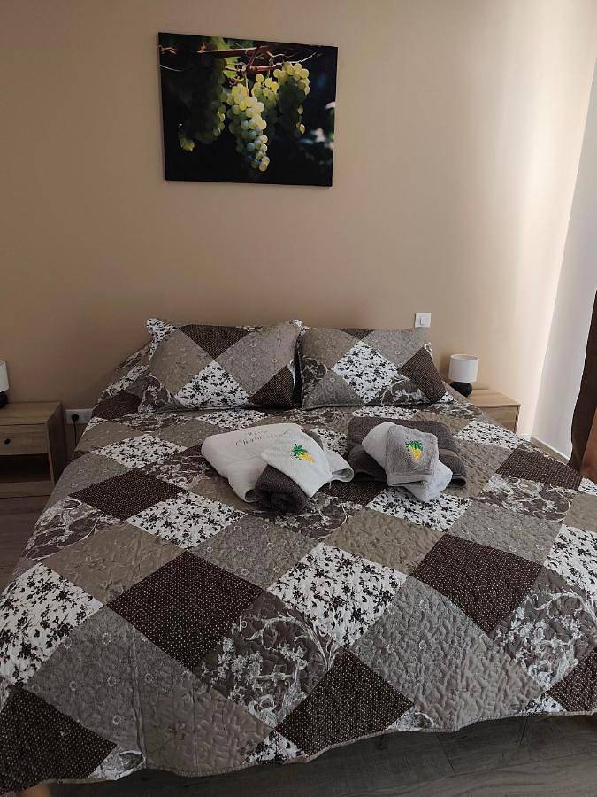 Location de vacances pour 8 personnes, avec jardin et piscine à Chablis - 2
