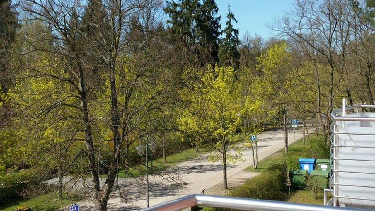 Apartamento vacacional entero, Ferienwohnung für 3 Personen (52 m²) in Bad Saarow in Bad Saarow, Dahme-Seengebiet