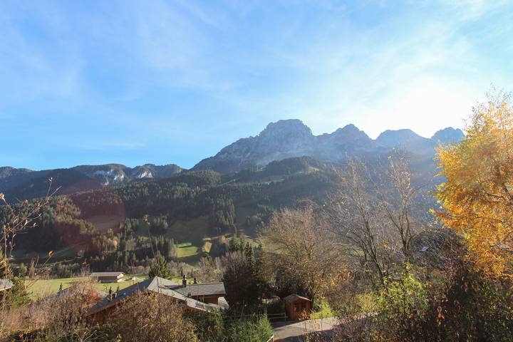 Ganze Ferienwohnung, Chalet Les Jumelles - 5 Schlafzimmer, 160m², 10 Personen in Rougemont, Pays-d'Enhaut Region