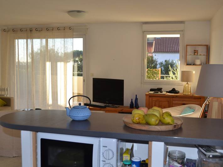 Ganze Wohnung, Komfort in Mèze: Klimatisierte Wohnung mit Terrasse und Garten in Mèze, Mittelmeerküste (Frankreich)