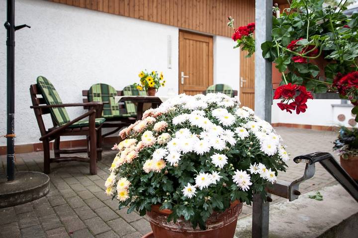 Ganze Ferienwohnung, Ferienwohnung "Helianthus" - Fw mit 1 Wohnr., 1 Schlafr., Küche, Bad m. Du, Eg, 1-3 P., 55 m² in Arnstadt (Thüringen), Arnstadt