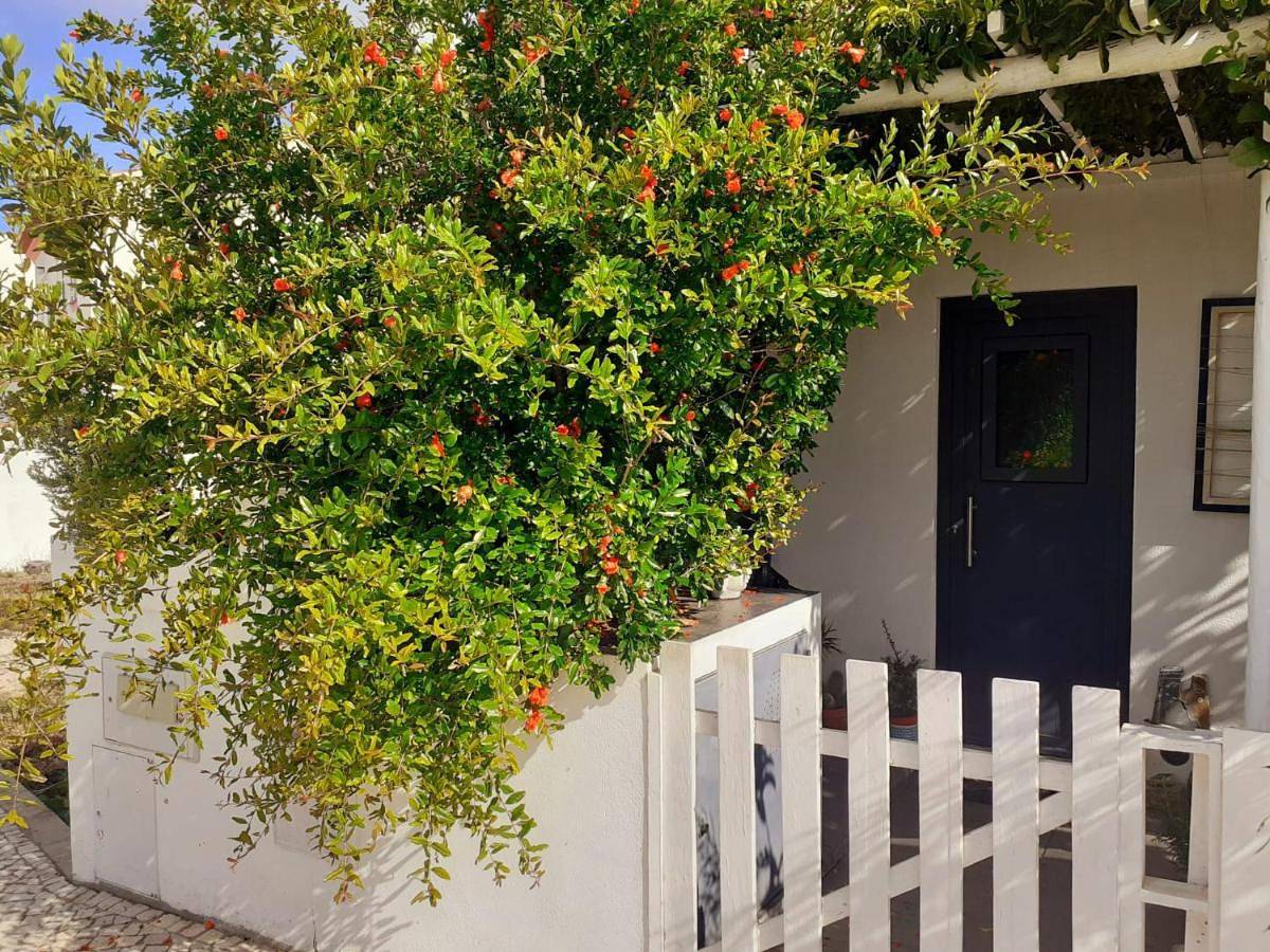 Zenergy - Guest House in Odeceixe, Costa Alentejana