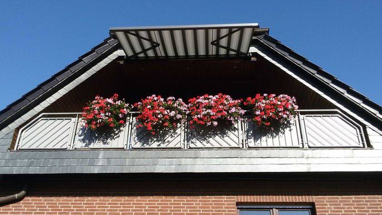 Ganze Ferienwohnung, Ferienwohnung für 3 Personen (50 m²) in Hagenburg in Hagenburg, Landkreis Schaumburg