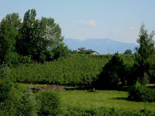 Ganze Ferienwohnung, Ferienwohnung Schöne Aussicht - Ferienwohnung Schöne Aussicht 80qm, 2 Schlafzimmer, max. 5 Personen in Wasserburg (Bodensee), Bayerisch Schwaben