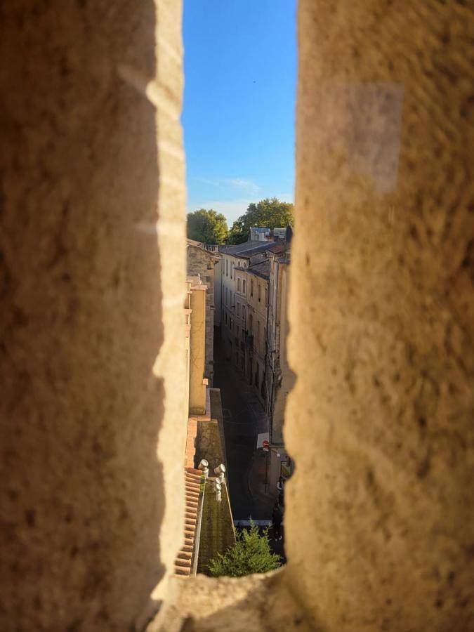 Gîte pour 4 personnes, avec vue dans Cinema Utopia La Manutention Avignon - 4
