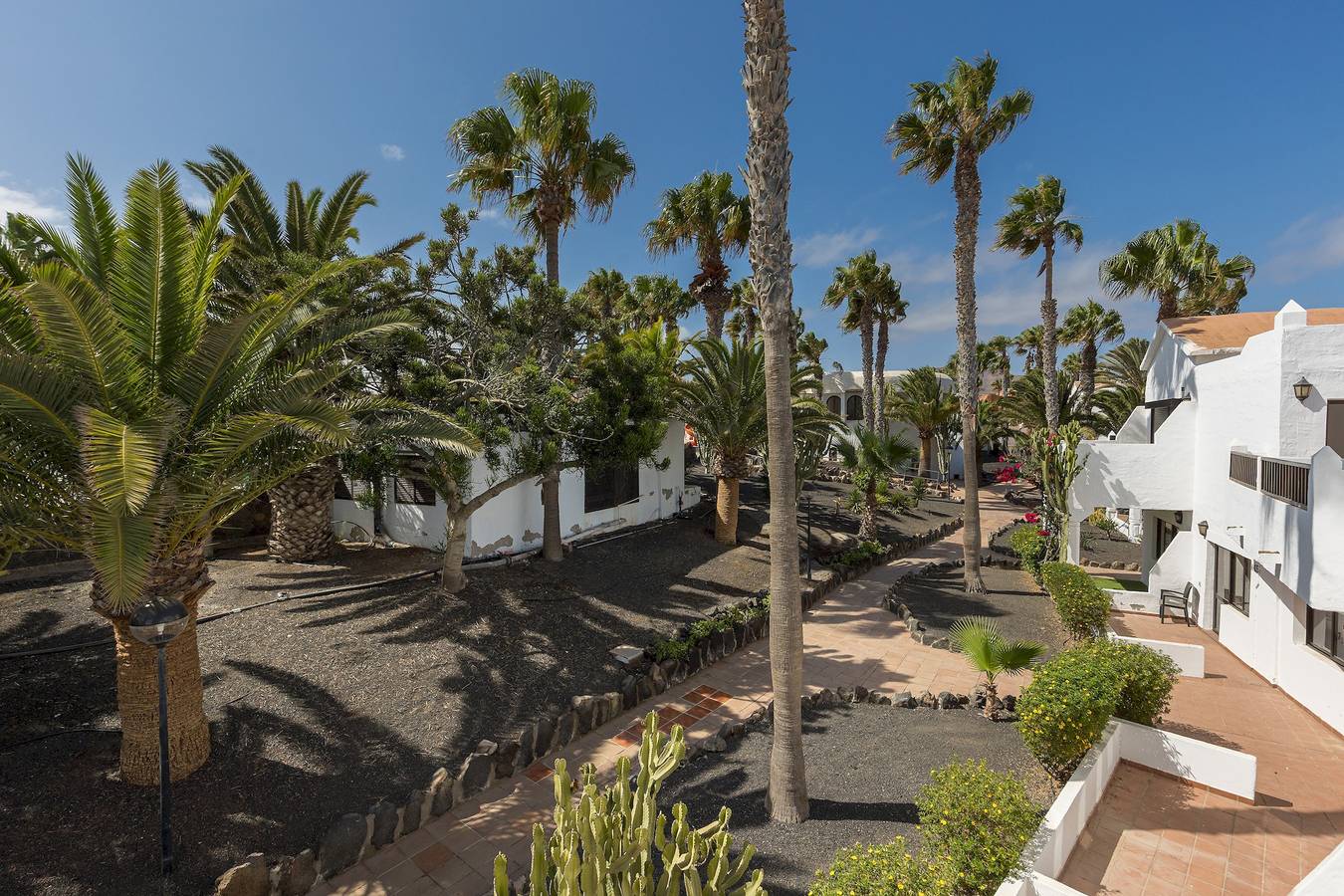 Apartamento entero, Home2Book Modern Apt with Pool in Corralejo Oasis in Corralejo, La Oliva