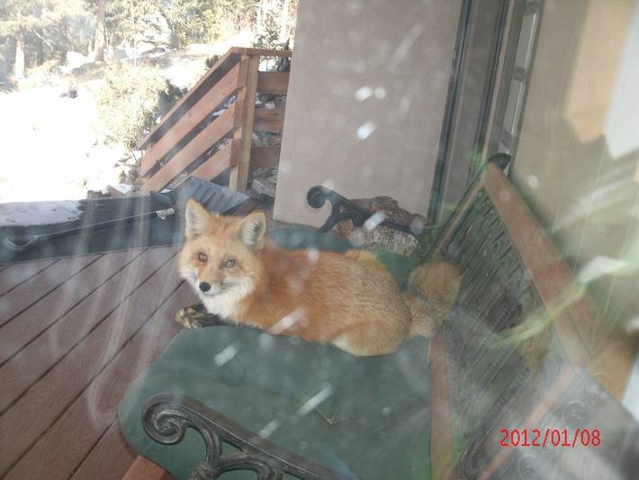 Vacation rental for 2 people, with sauna and yard in Jefferson County