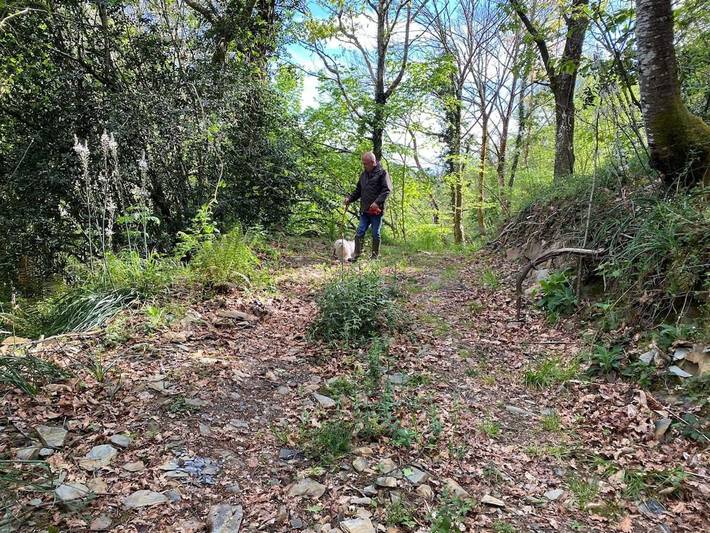 Apartamento de vacaciones para 2 personas, con vistas y jardín en Asturias - 3