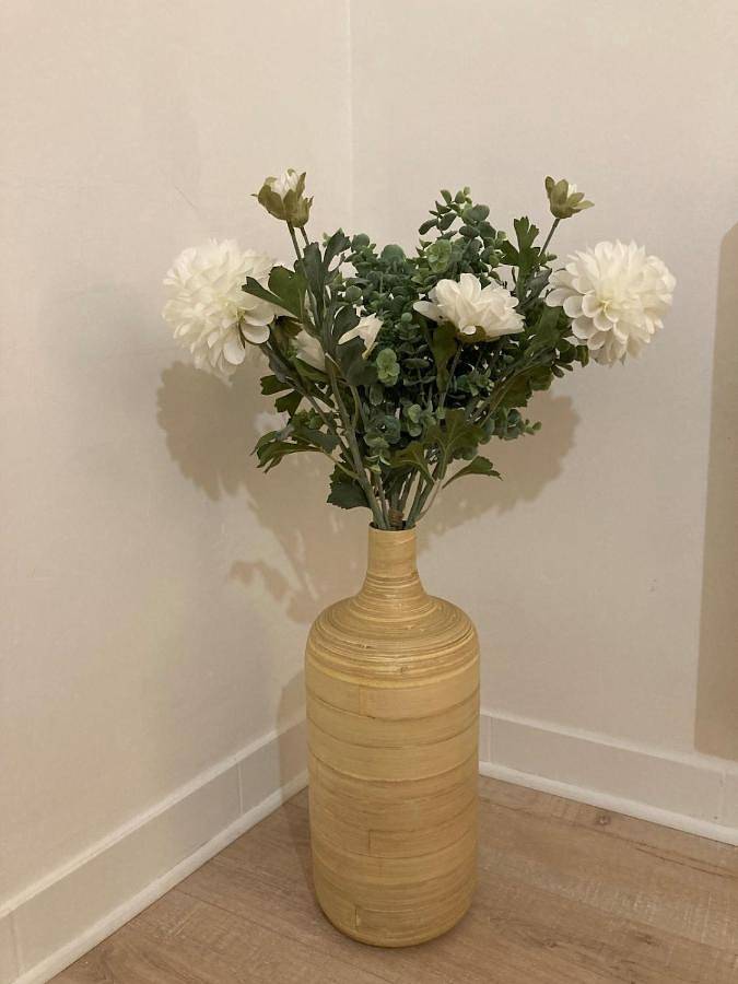 Gîte pour 6 personnes, animaux acceptés à Azay-le-Rideau - 3