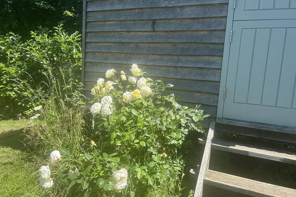 Cabin Retreat in Bedford - Sleeps 2 & Free parking in Central Bedfordshire