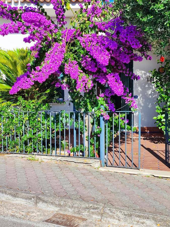 Casa vacanza per 5 persone, con animali domestici a Palinuro