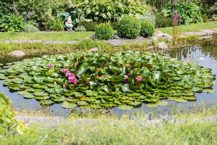 Villa für 6 Personen, mit Haustier auf der Halbinsel Mönchgut - 3