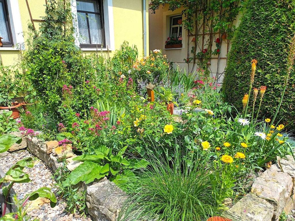 "Linde" in het Kühnhuis in Bad Schandau, Elbezandsteengebergte