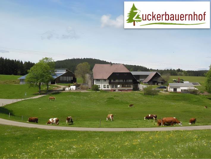 Ferienhaus für 4 Personen, mit Balkon und Garten in Mittlerer Schwarzwald - 2