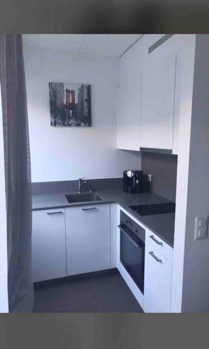 Appartement entier, Logement super à côté du Jet et de la Gare in Genève Secteur de dist., Genève