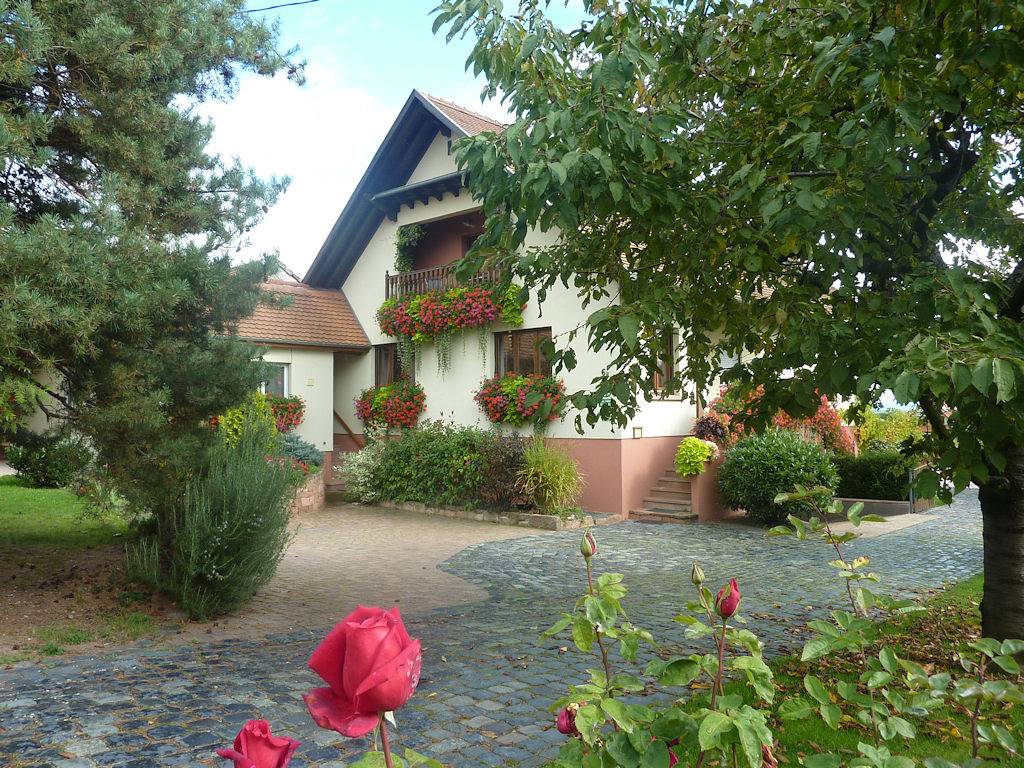 Studio entier, Gite Rose des vignes in Orschwiller, Région de Sélestat-Erstein