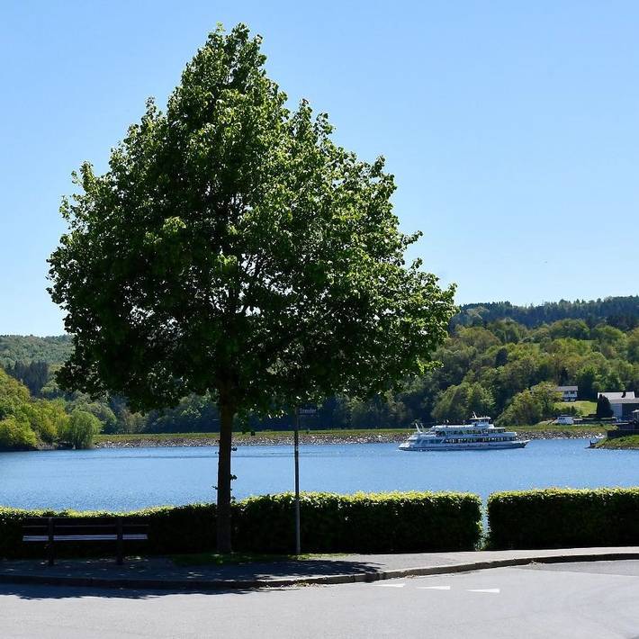 Ferienwohnung für 3 Personen, mit Terrasse und Seeblick sowie Ausblick in Simmerath - 2