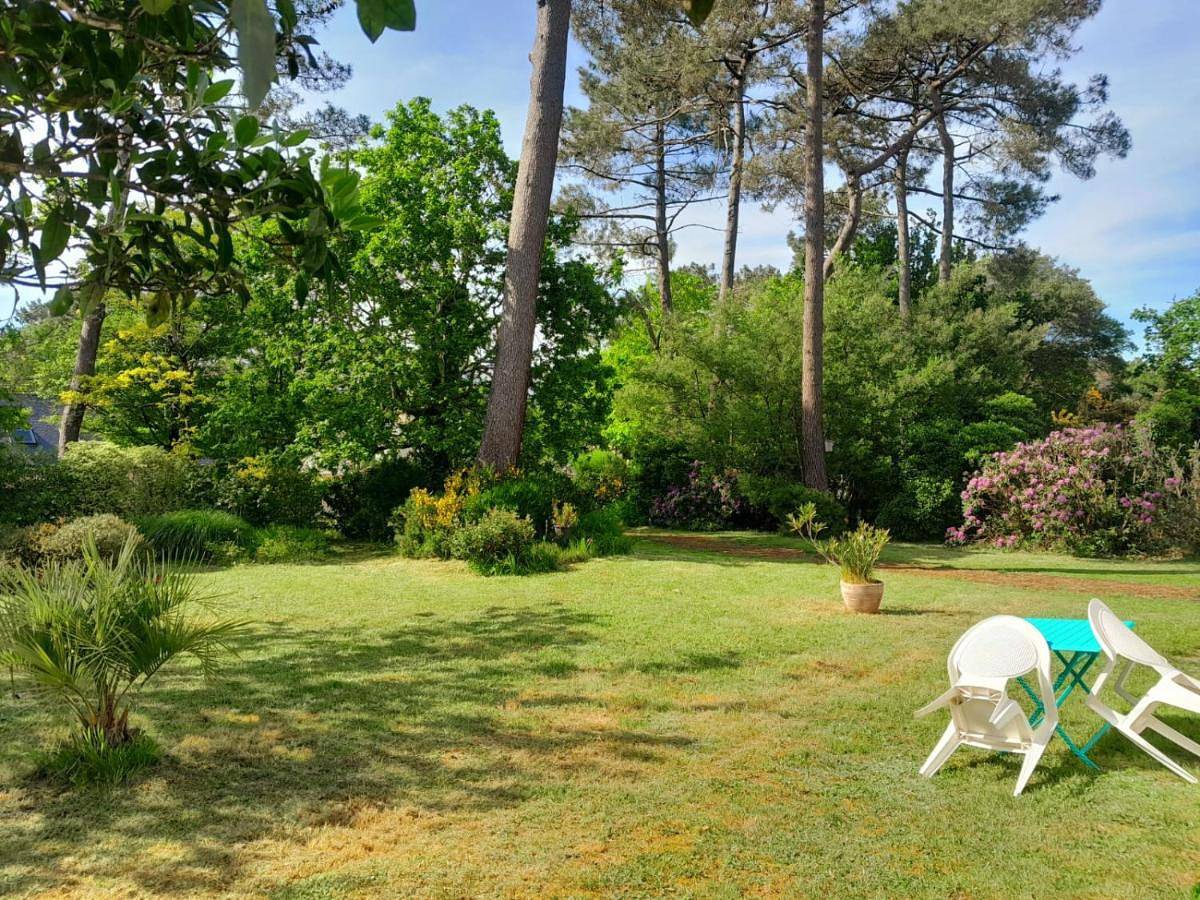 Double Room with Private Bathroom in Crach, Côte des Mégalithes