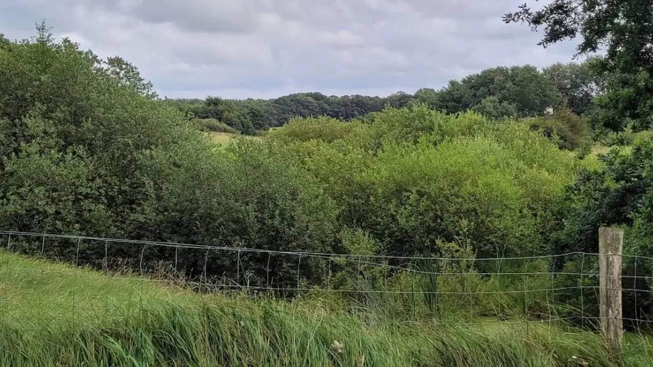 Feriehus for 5 personer med terrasse in Hovborg, Vejen
