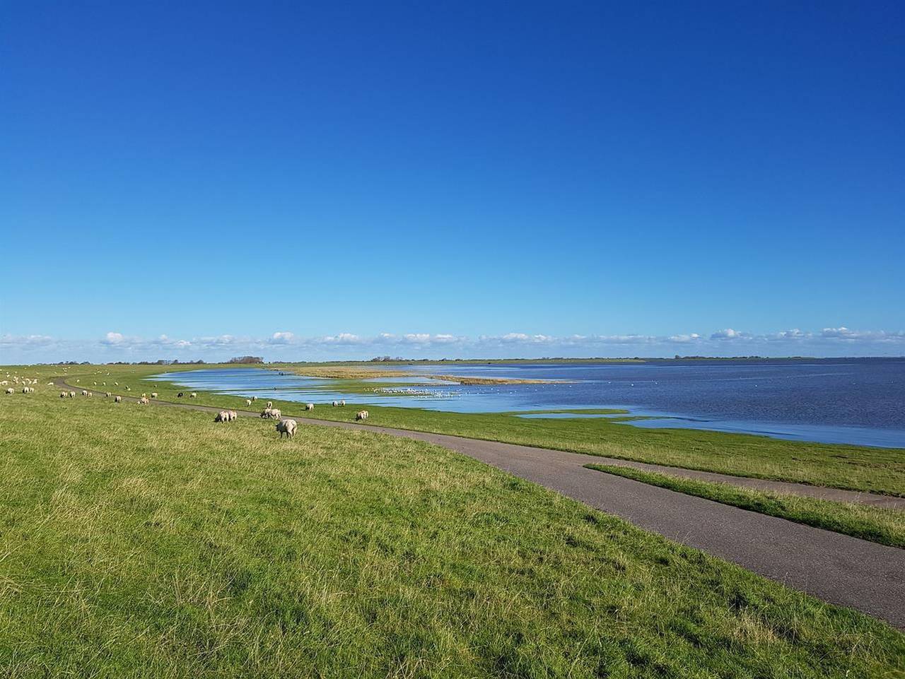 Ganze Ferienwohnung, Haus Kiek in de See in Böhl (St. Peter-Ording), St. Peter-Ording