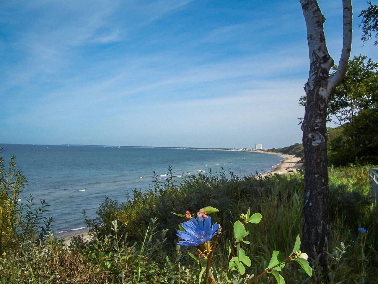 Ganze Ferienwohnung, Residenz am Kurpark - Objekt 102227 in Warnemünde Strand, Rostock