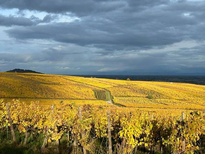 Location de vacances pour 8 personnes, avec jardin et piscine à Hunawihr - 4