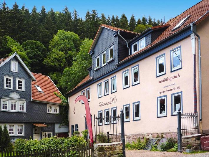 Hütte für 4 Personen, mit Sauna und Balkon im Thüringer Wald - 3