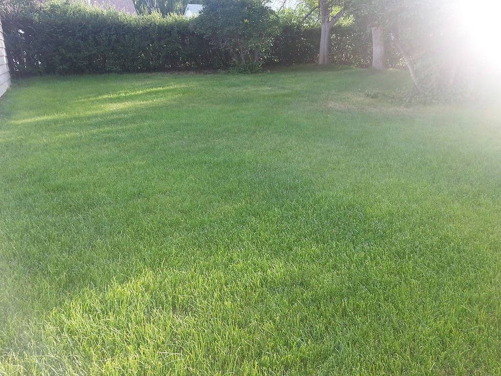 Charmant und praktisch! in Anaconda-Deer Lodge County, Deer Lodge County