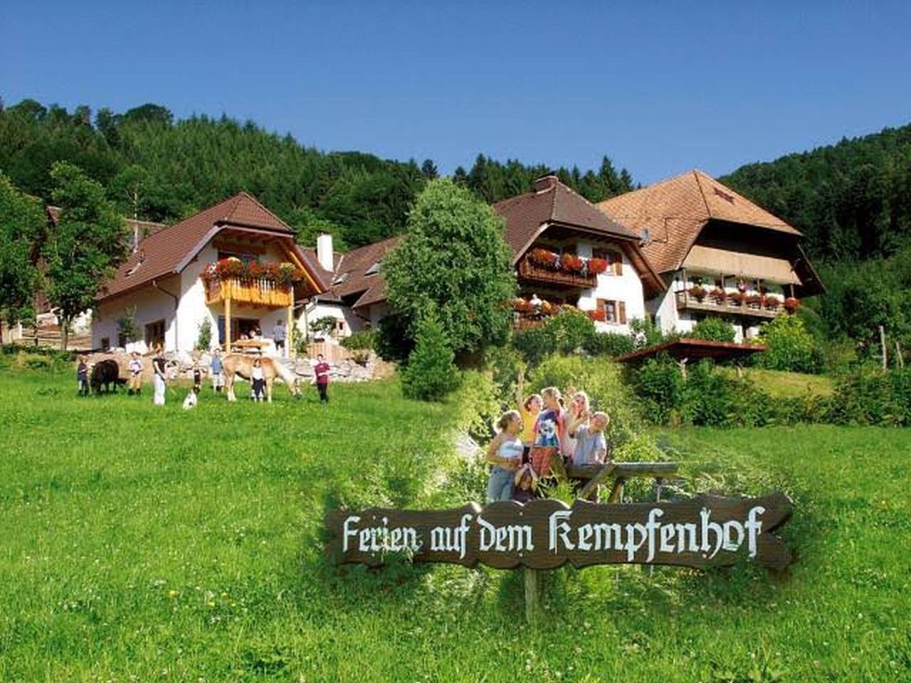 Ganze Wohnung, Ferienwohnung 'Mini' mit Bergblick, Gemeinschaftsgarten und Wi-Fi in Seelbach, Mittlerer Schwarzwald