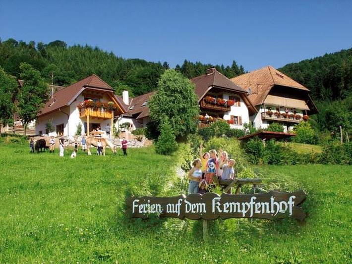 Entire apartment, Apartment 'Zum Austrag' with Mountain View, Shared Garden and Wi-Fi in Seelbach, Central Black Forest